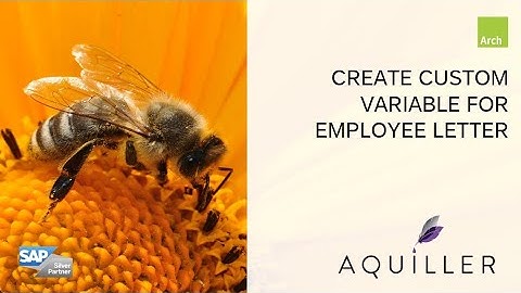 Creating a custom variable for business correspondence