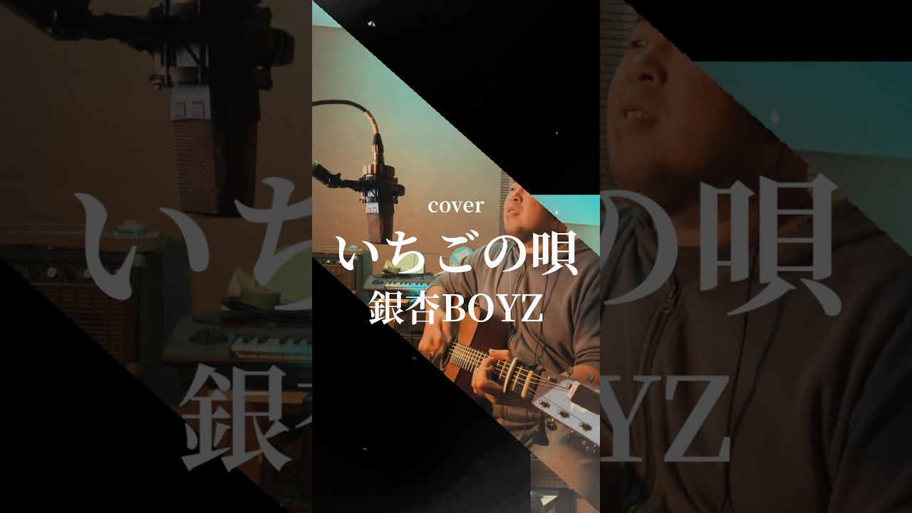 いちごの唄long long cake mix/銀杏BOYZ(弾き語りcover short