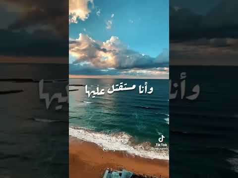 شوفي ازاي جميلة عمرو دياب