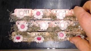 Altered tickets