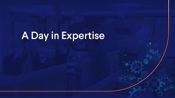 A Day in Expertise