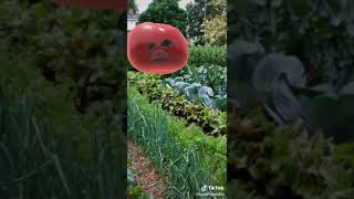 TikTok | I’m a Potato