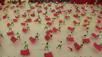 Color Guard Final Performance: Flag Technique