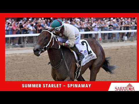 2026 - Spinaway