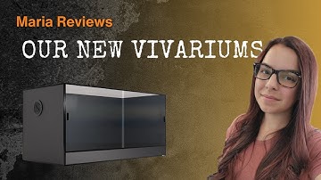 Review: New Vivarium from ReptiChip – Worth the Hype?