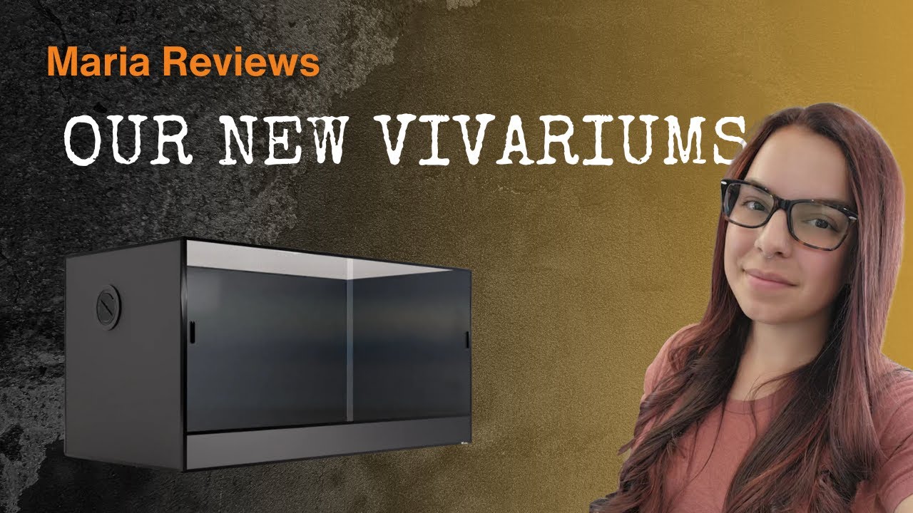 Review: New Vivarium from ReptiChip – Worth the Hype?
