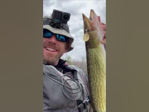 Uploads from Kambotrout Fishing 