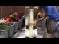 How To Build A Medium Sized Cat Tree with 2 Beds and A Tunnel How To Build A Medium Sized Cat Tree with 2 Beds and A Tunnel