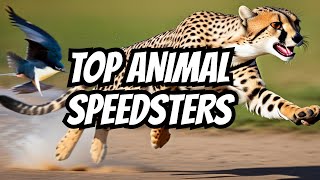 Top 10 Fastest Animals Revealed: Unmasking the Speedsters by Fun Facts Galore 170 views 3 months ago 11 minutes, 22 seconds