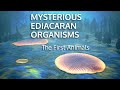 Mysterious ediacaran organisms  the first animals