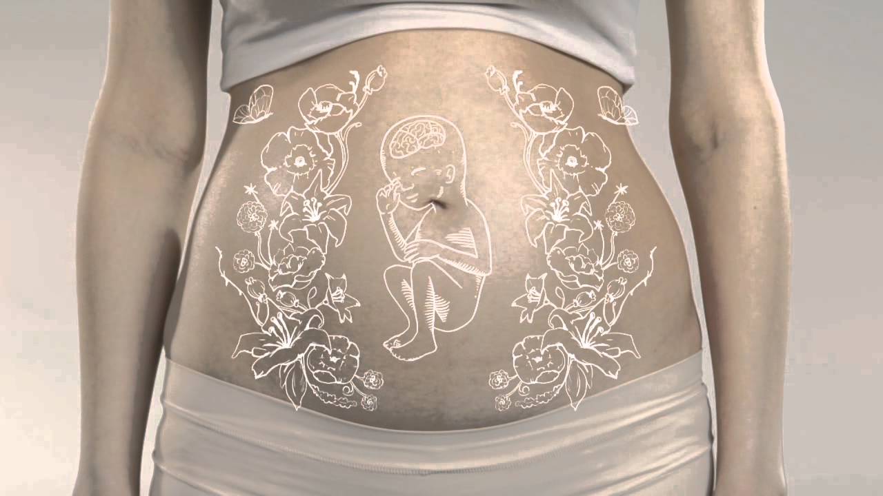 Календарь беременности - неделя 19