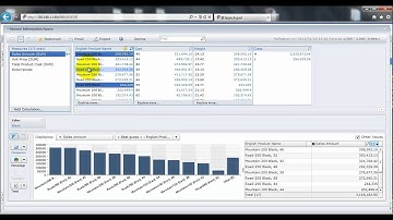 SAP BusinessObjects BI 4.0 Explorer