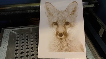 RDWorks Learning Lab 183 New Head Results