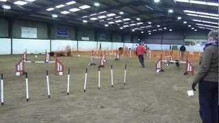 06.01.2012 Dig It Dog Training Agility Intermediate Jumping Round 1