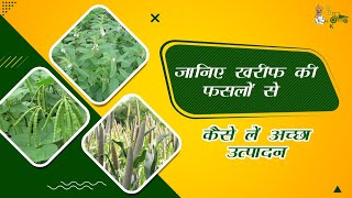 जानिए खरीफ की फसलों से कैसे लें अच्छा उत्पादन | Kharif Crops Production