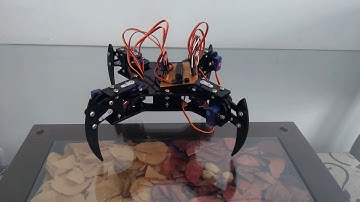 Seraphynna mePed Atmega328p Arduino based robot