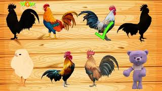 CUTE ANIMALS COCK puzzle 🐓 Wow HD screenshot 5