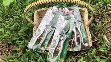Review kéo cắt cành cầm tay buddy Nhật Bản cao cấp nhất hiện nay 0983781388