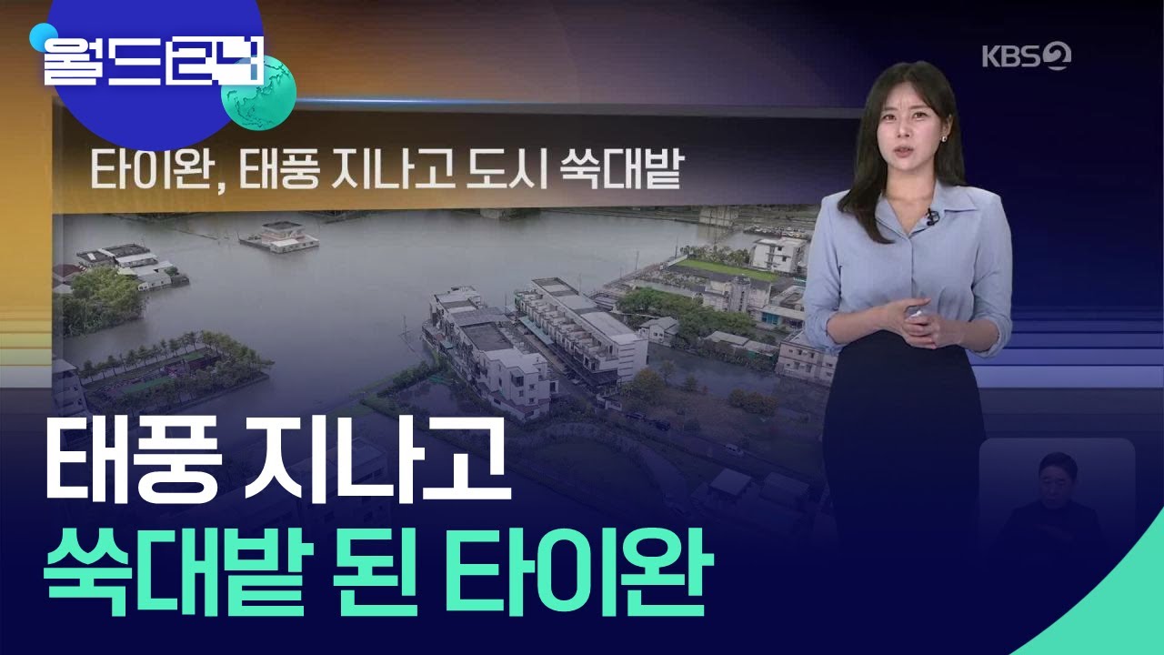 타이완, 태풍 지나고 도시 쑥대밭 [월드24 날씨] / KBS  2025.11.13.