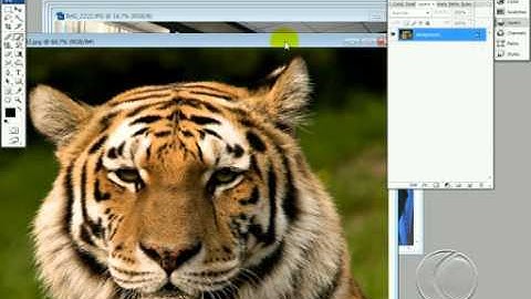 Photoshop CS 6 Tutorial Bangla (Masking & Manipulation NEW)- Part14 - ROBIN HUDA