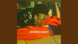 You Wouldn't Understand - Marcus Harvey