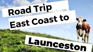 Scamander to Launceston Road Trip