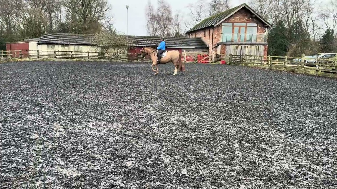 BRC Walk & Trot Test A