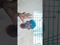 #comedy #viralvideo #$👈🚀#viral