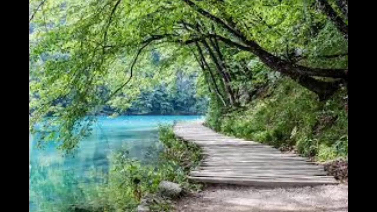MUSIC FOR POSITIVE ENERGY AND BODY HARMONY by Tony Dev - YouTube