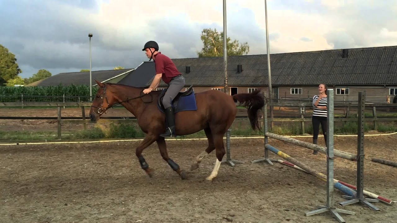Springles manege Tjoonk Diepenveen