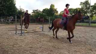 Springles manege Tjoonk Diepenveen