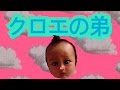 ちょっとの報告!(クロエの弟)