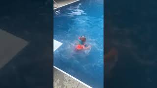 Little boy tries to push girl into pool from diving board but ends up falling in head first