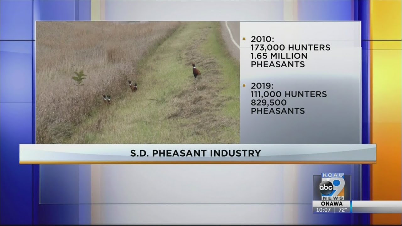 South Dakota pheasant industry