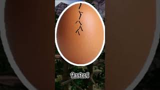 You found a gorilla tag egg! Double tap to open it! @MikVR-o4g @MikVR-o4g @VMT