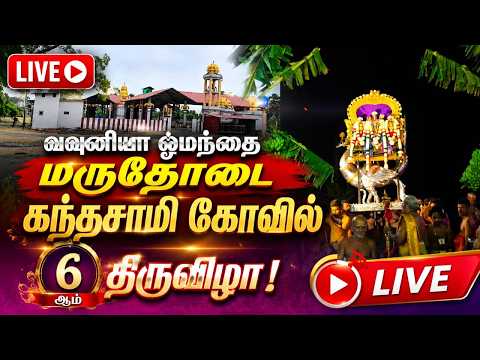 வவுனியா ஓமந்தை மருதோடை கந்தசாமி கோவில் 6ஆம் திருவிழா!