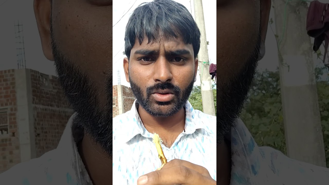 Self Report chesara ? 