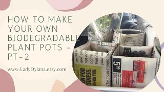 Celebrity How to make your own biodegradable plant pots - Part 2 Net Worth