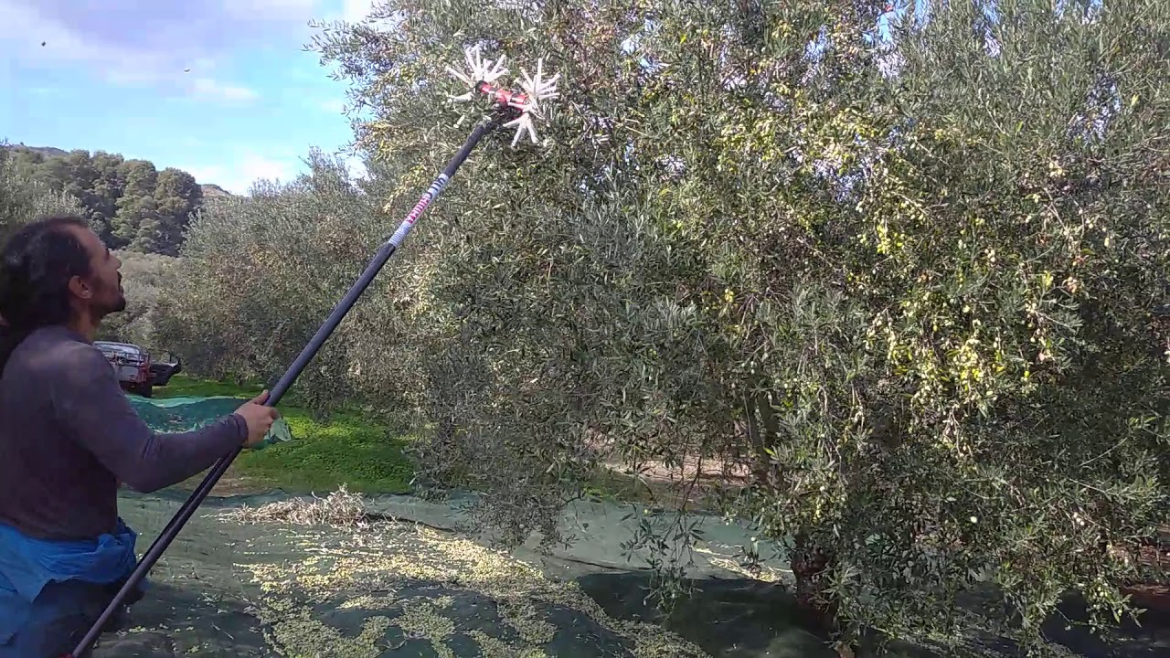 Νιφαδα χ14 carbon yamastik ραβδισμα