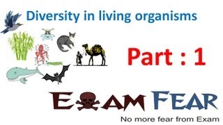 Download lagu Biology Diversity in Living Organisms part 1 Introduction CBSE class 9 IX Biology Diversity in Living Organisms part 1 Introduction CBSE class 9 IX
