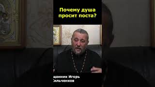 Почему Душа Просит Поста? Священник Игорь Сильченков.