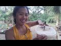 NEW GARDEN SET UP/ LIPAT BAHAY ( PROVINCE LIFE PART 2)