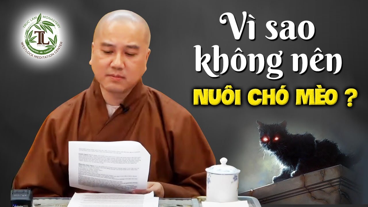 chăm sóc chó mèo New Update Vì sao KHÔNG NÊN Nuôi Chó Mèo trong nhà? - Vấn Đáp Thầy Thích Pháp Hòa