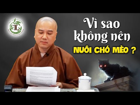 Video: Mèo chiến đấu chống lại Lisa Vanderpump theo đuổi những cáo buộc về lừa đảo từ thiện chó