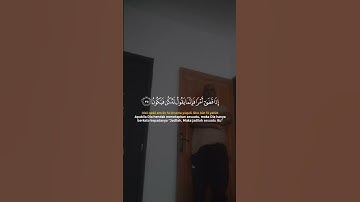 ما تيسر من الذكر الحكيم تلاوة خاشعة مؤثرة مبكية 🚨💔❤️🚨🔥