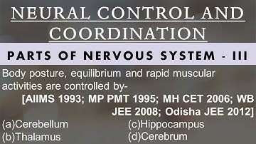 NEURAL CONTROL AND COORDINATION MCQ FOR NEET || PARTS OF NERVOUS SYSTEM || NEET 2021 || STUDE