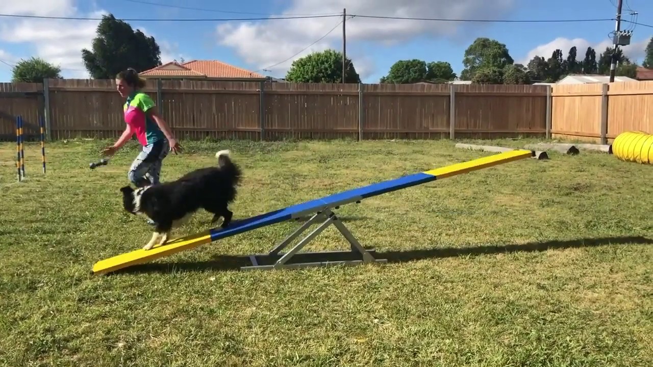 Aluminium Dog Agility See Saw Assembly YouTube
