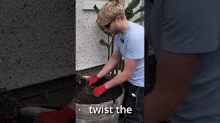 Repotting Easy Method