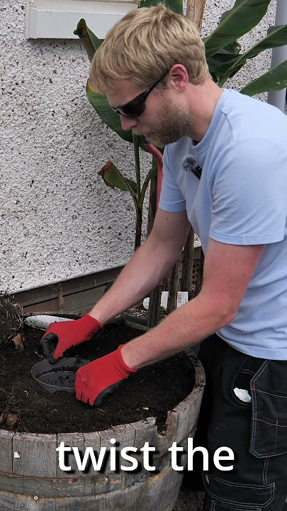 Repotting Easy Method #gardening #plants