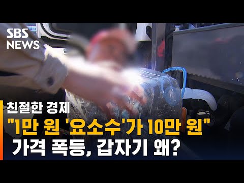 <strong>디젤</strong> <strong>차량</strong> 필수품 &amp;#39;요소수&amp;#39; 가격 폭등…갑자기 왜? / SBS / 친절한경제